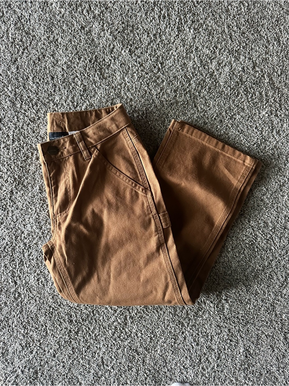 NWT Carhartt Pants